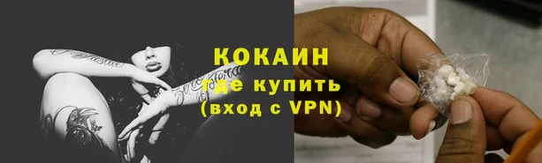 ГАЛЛЮЦИНОГЕННЫЕ ГРИБЫ Богданович